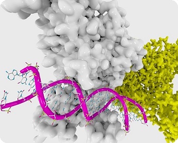 what_is_epigenetics